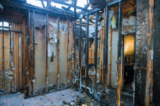 Professional Fire Damage Repair technician working in Bradford, TN